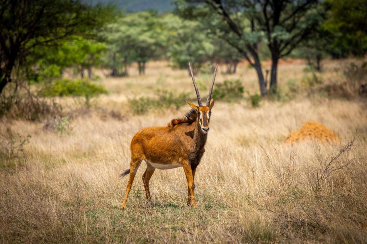 Lephalale Nungu Game Lodge מראה חיצוני תמונה