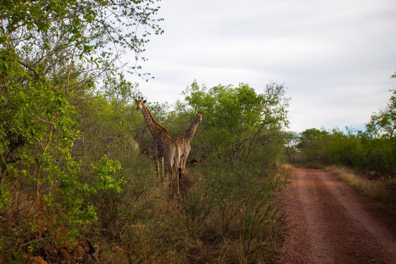 Lephalale Nungu Game Lodge מראה חיצוני תמונה